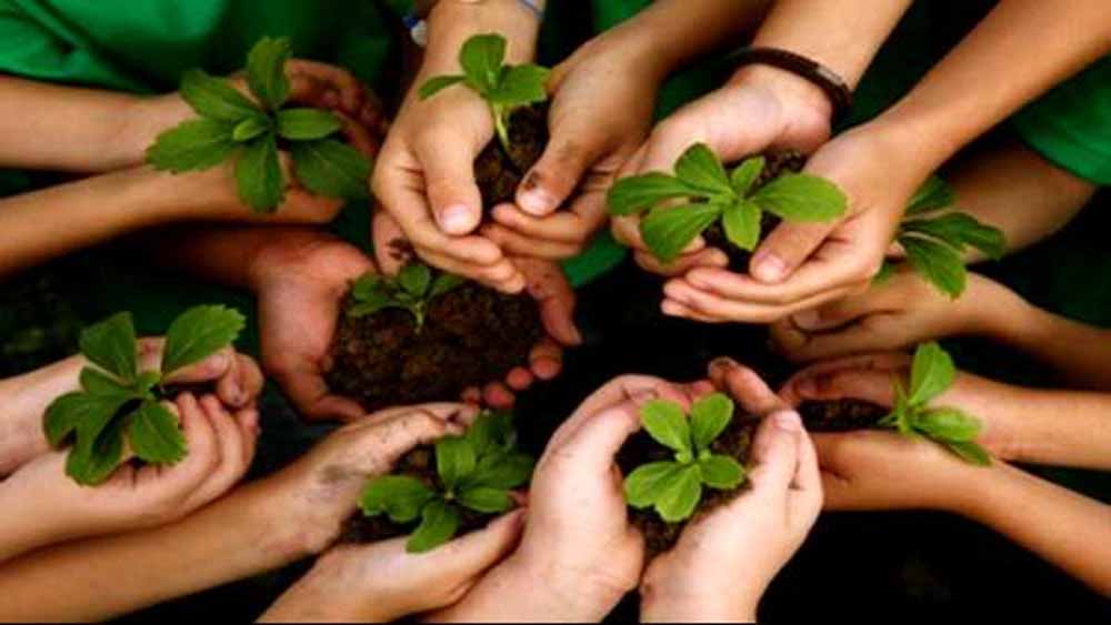 शिक्षकों से हरित भविष्य की उम्मीद: प्रकृति संरक्षण हेतु विशेष प्रशिक्षण आयोजित