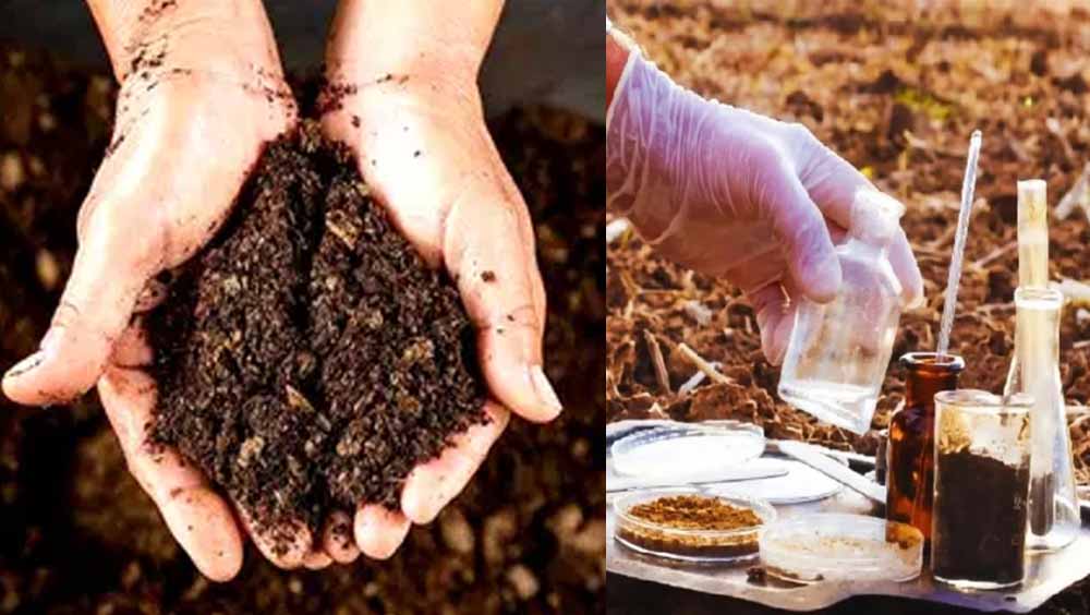 कम खर्च में स्मार्ट खेती, राजस्थान में 5 रुपए में खेत की मिट्टी जांच की सुविधा