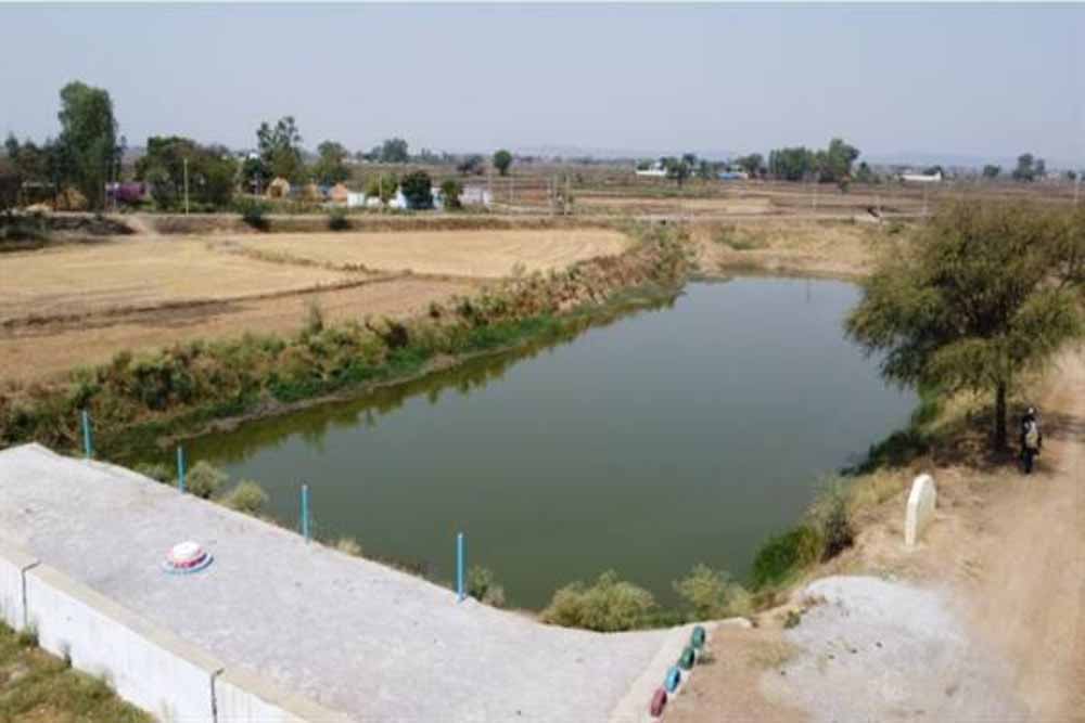 अमृत सरोवर से रिझोरा में लौटी हरियाली और खुशहाली