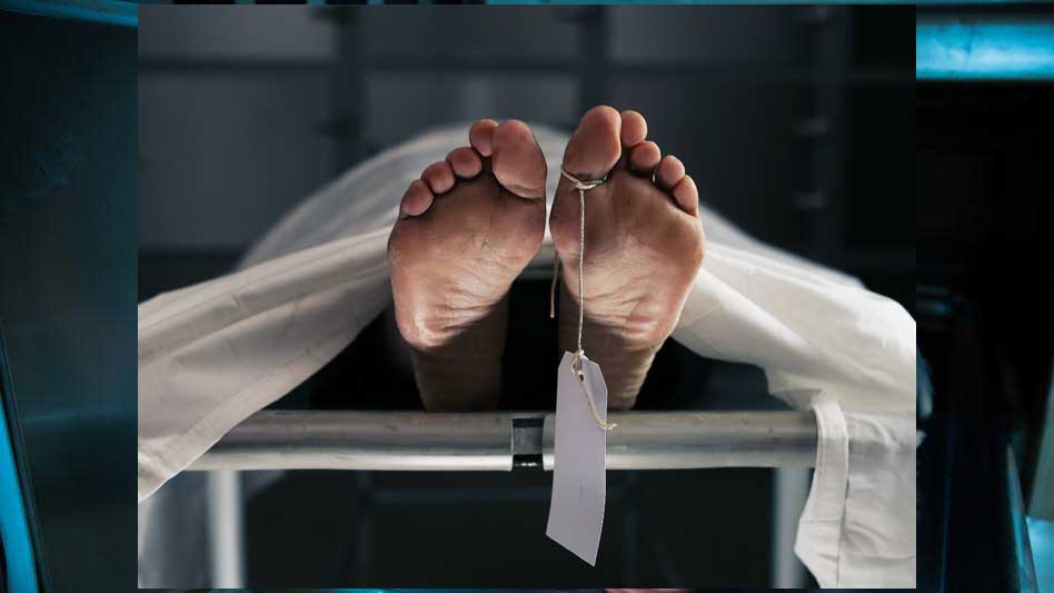 BCCI के ब्रॉडकास्ट इंजीनियर का शव मुंबई के होटल में बरामद, IPL मैच कवरेज की थी जिम्मेदारी