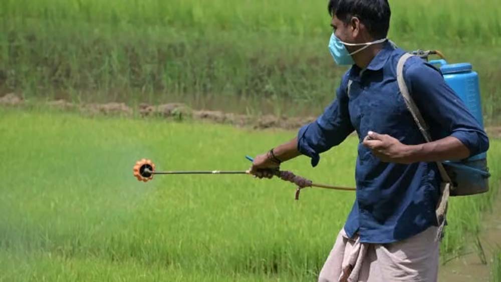 युद्ध बना किसानों के लिए चिंता: कीटनाशक महंगे, उत्पादन लागत में बड़ा उछाल