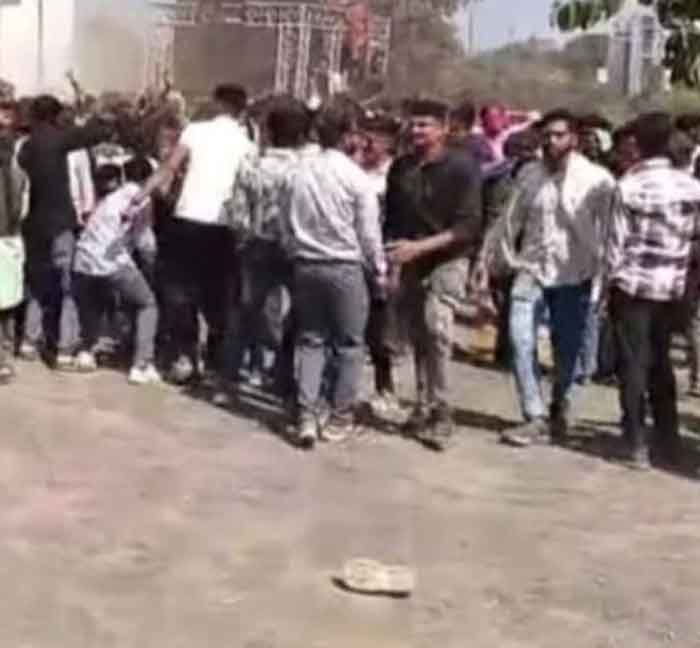 होली कार्यक्रम बना अफरा-तफरी: मधुमक्खियों के अटैक से मची भगदड़