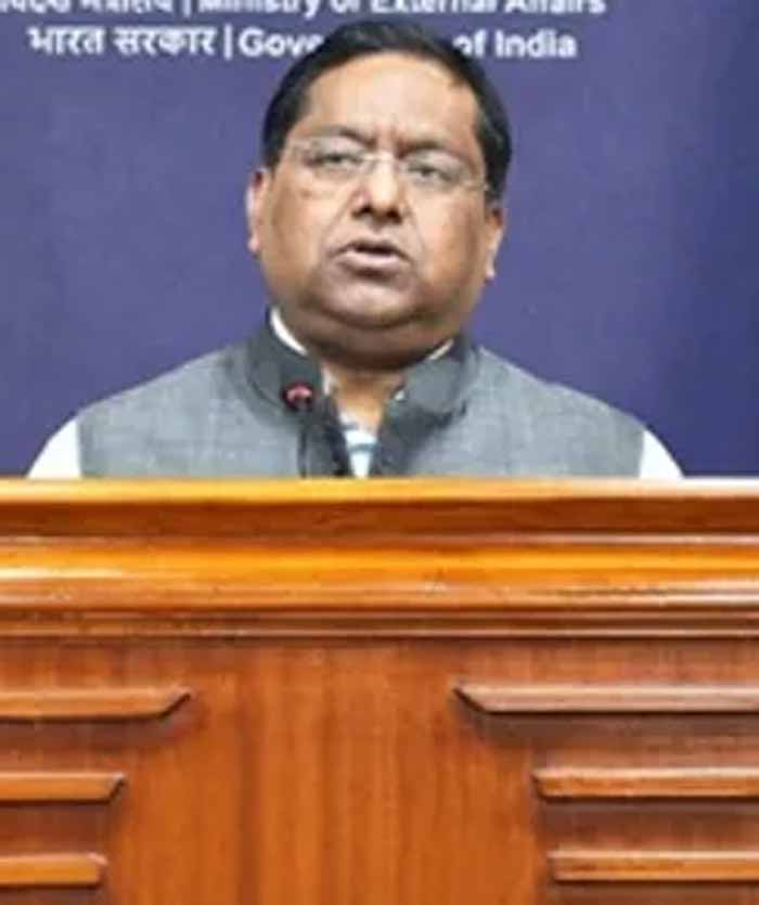 ऊर्जा क्षेत्र में भारत की बढ़ती ताकत, डीजल के लिए पड़ोसी देशों ने की मदद की मांग: MEA