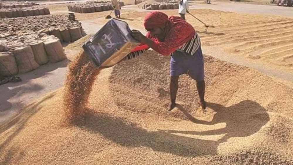 सीएम योगी ने दिया 48 घंटे के भीतर डीबीटी के माध्यम से किसानों को गेहूं का भुगतान करने का निर्देश