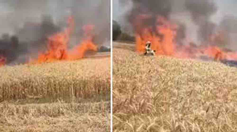 पगही और विझवल गांव में भीषण अग्निकांड, किसानों पर टूटा दुखों का पहाड़