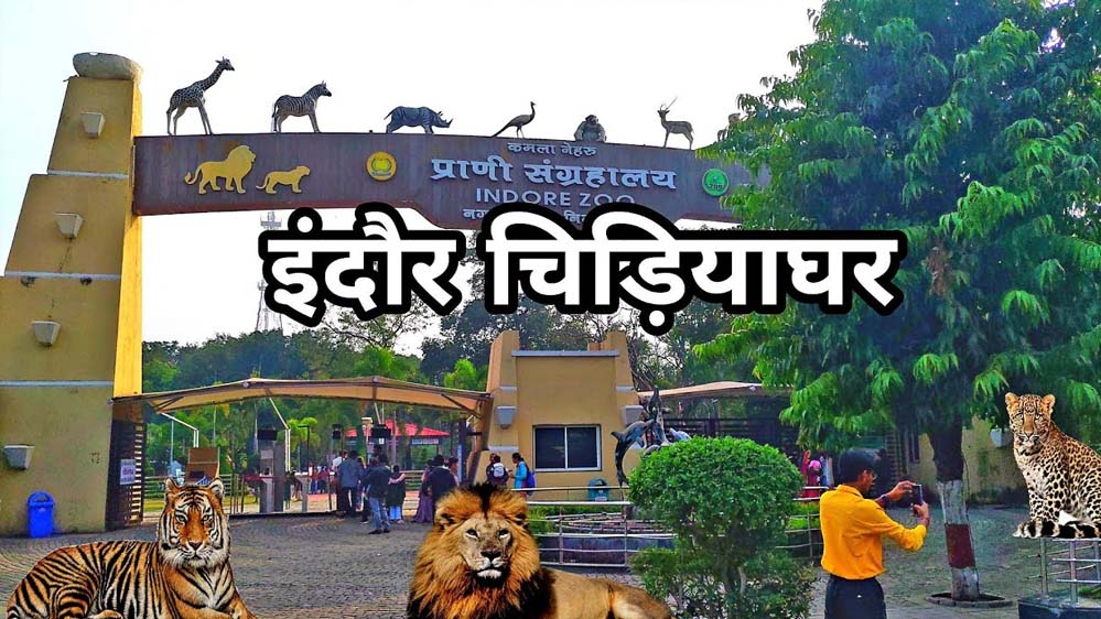 इंदौर चिड़ियाघर में बन रही है अंडर वॉटर टनल, दुबई-सिंगापुर की तर्ज पर 35 करोड़ में होगा निर्माण