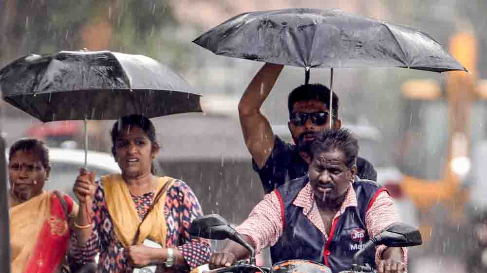 ओलों की सफेद चादर से फसलों को नुकसान, राजस्थान के 4 जिलों में भारी बारिश का अलर्ट, लुढ़का पारा