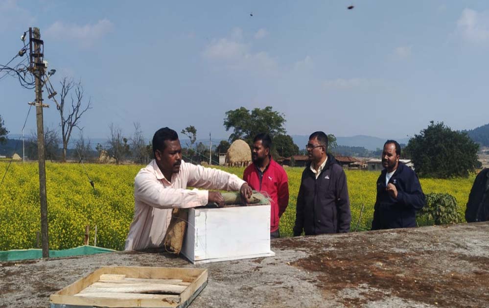 रायपुर : मधुमक्खी पालन, कम लागत में अधिक मुनाफा, एक शानदार विकल्प