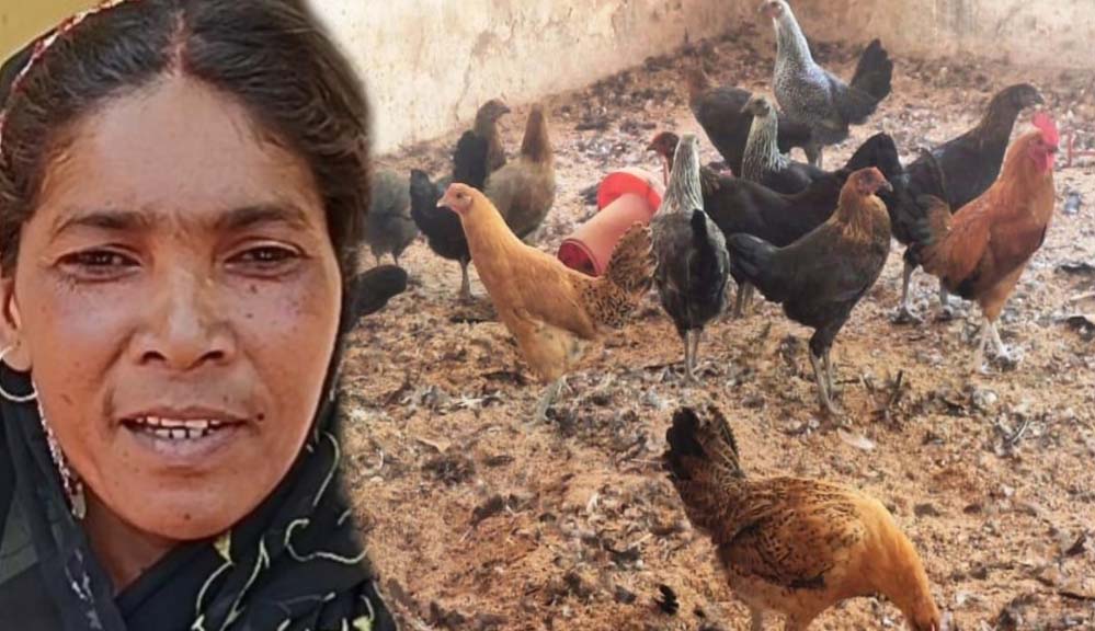 गौठान से बदली तस्वीर: धोवाताल बना आत्मनिर्भर मॉडल गांव, पलायन पर लगी रोक