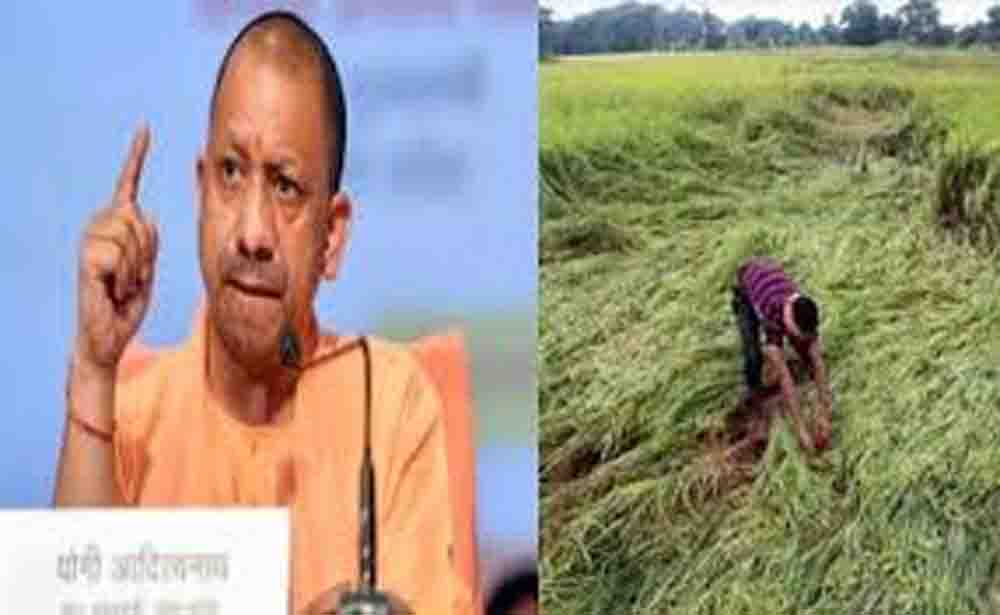 संकट में अन्नदाता के साथ खड़ी सरकार, राजस्व और कृषि विभाग को त्वरित कार्रवाई के आदेश