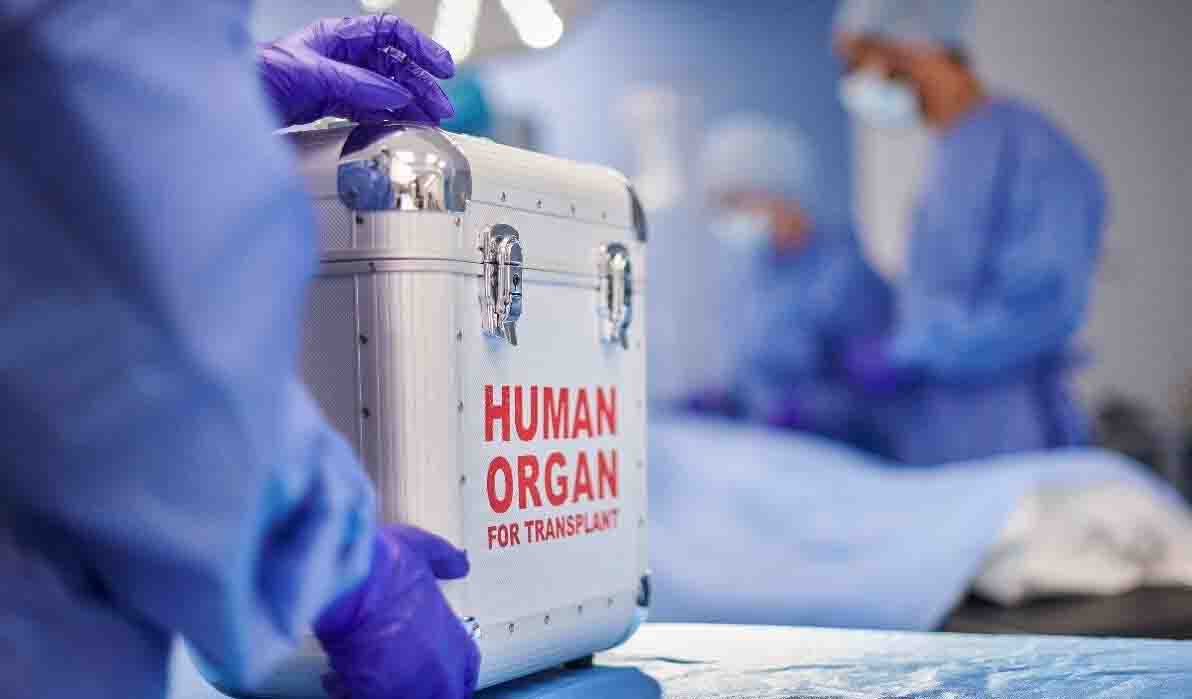 रोहतक PGIMS से दिल्ली तक बना जीवन का रास्ता, एक डोनर ने बचाईं कई जानें