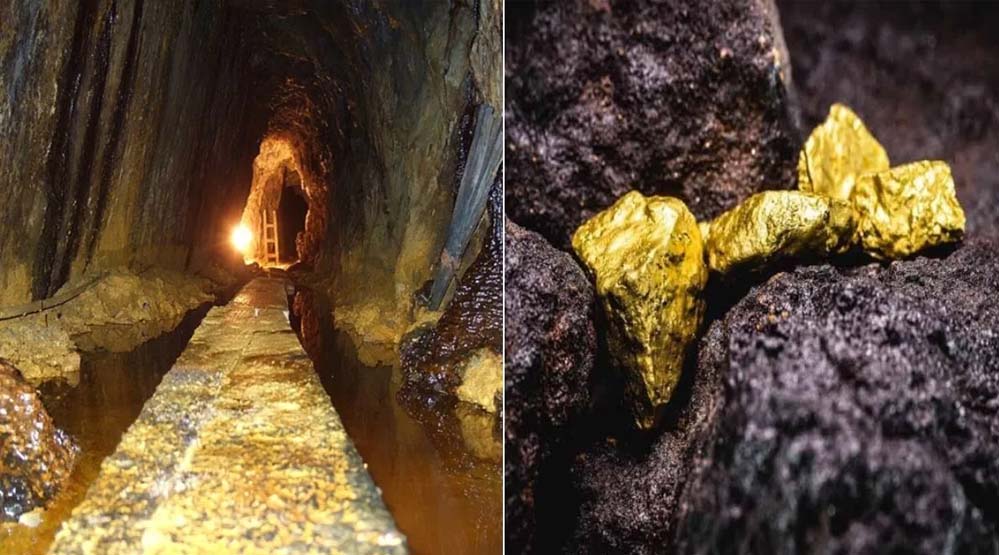 तेल संकट के बीच भारत को 42.5 टन सोने का भंडार, अगले महीने से डॉलर की बौछार