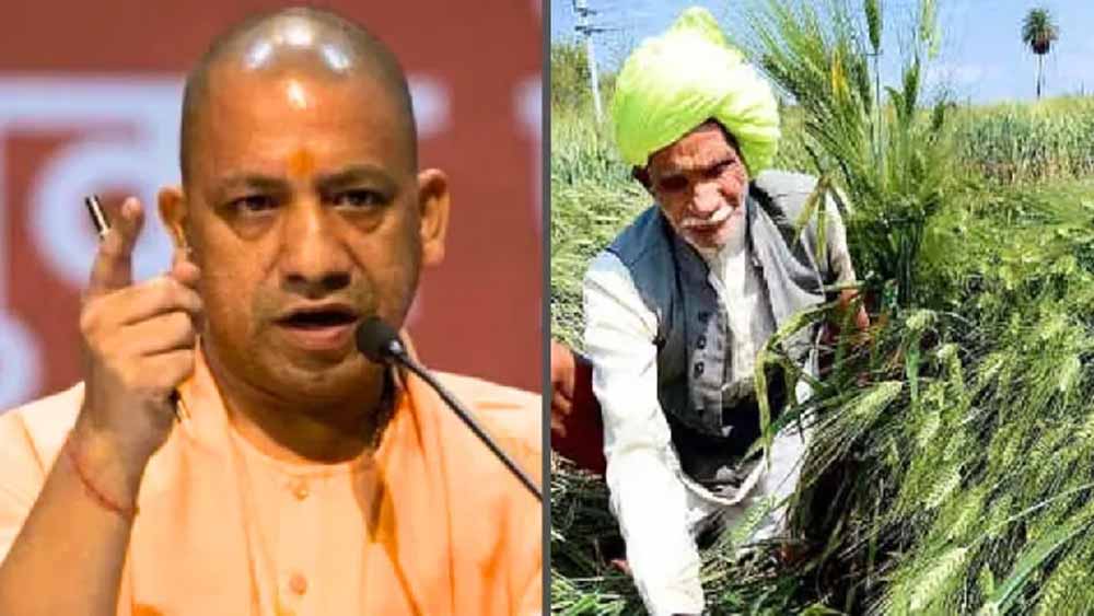 पात्र लाभार्थियों को कृषक दुर्घटना बीमा योजना के अंतर्गत शीघ्र लाभान्वित किया जाए: मुख्यमंत्री