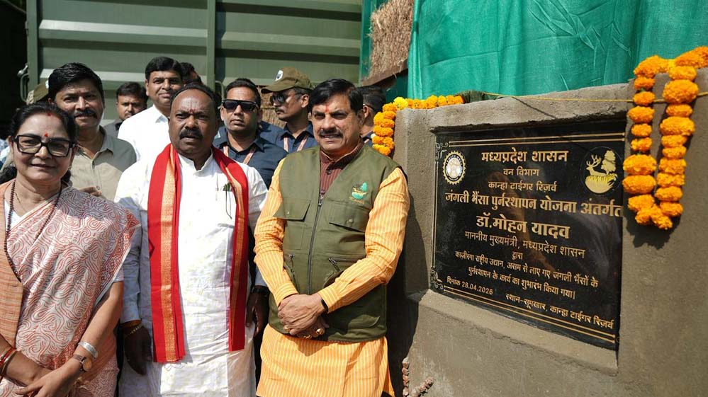 एमपी की वाइल्ड लाइफ को मिली नई जान, सीएम डॉ. मोहन ने रिलीज की 4 जंगली भैसें, ईको-सिस्टम पर होगा सकारात्मक असर