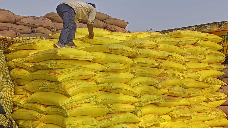 यूरिया खाद की कमी को दूर करने के लिए नई पॉलिसी, 100 लाख टन गैप भरने की तैयारी