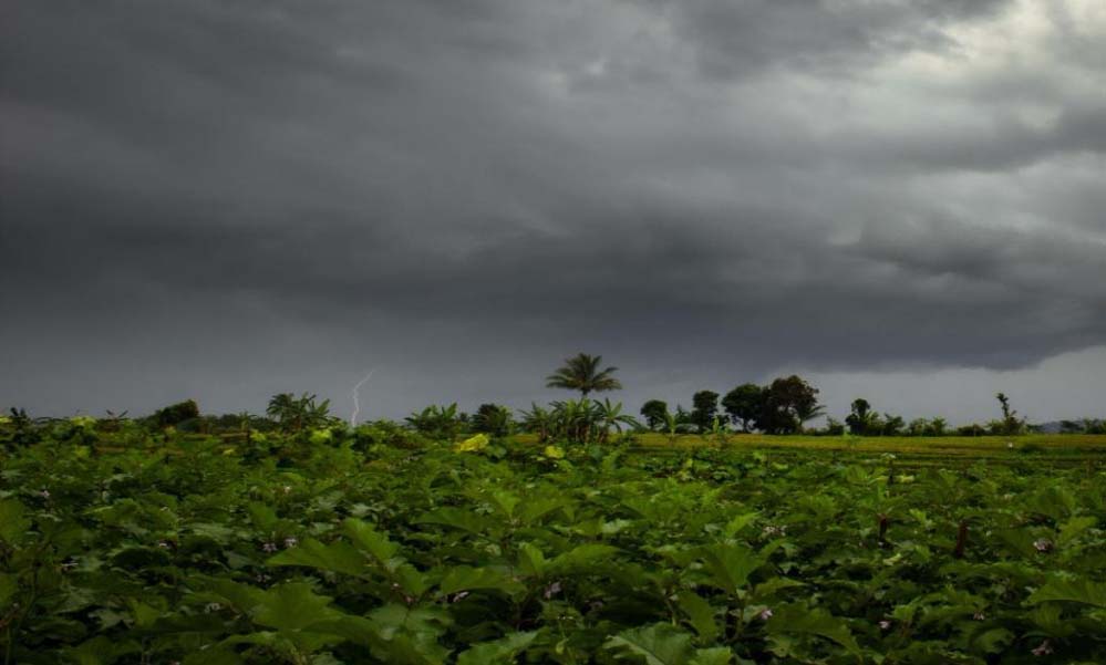 5 अप्रैल तक MP में मौसम का खतरनाक दौर: भोपाल-इंदौर सहित 30 जिलों में बारिश और निमाड़ में ओले गिरने की संभावना