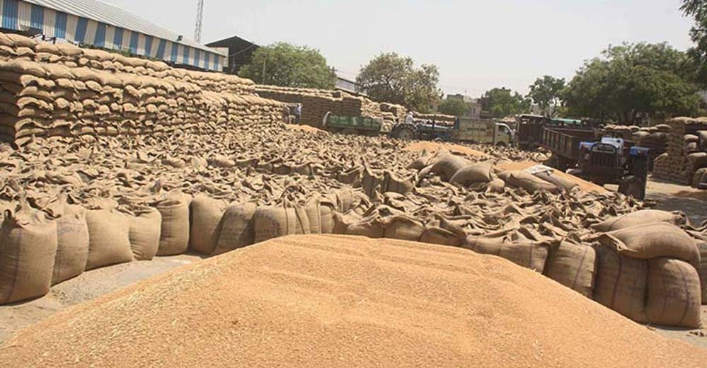 एमपी में गेहूं खरीदी का आगाज, चार संभागों में शुरू हुआ अभियान, किसानों को मिलेगा बोनस