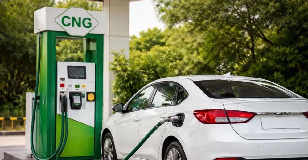 पेट्रोल-डीजल को अलविदा, लोग इस फ्यूल पर शिफ्ट हो रहे हैं, देश की हर चौथी कार चल रही है इससे