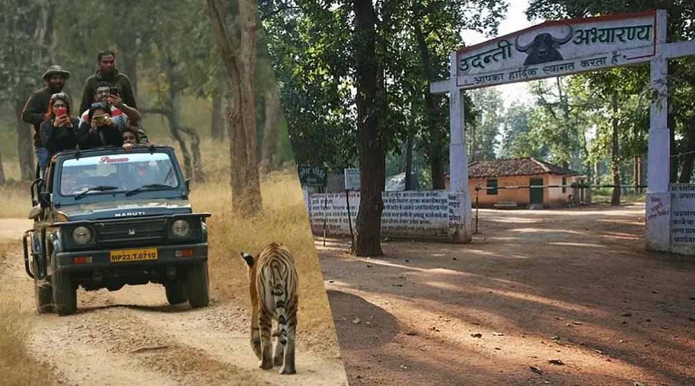 Tiger Reserve Safety: उदंती सीतानदी में हाईटेक निगरानी और ‘फायर-वॉटर’ मॉडल से जंगल को मिली सुरक्षा