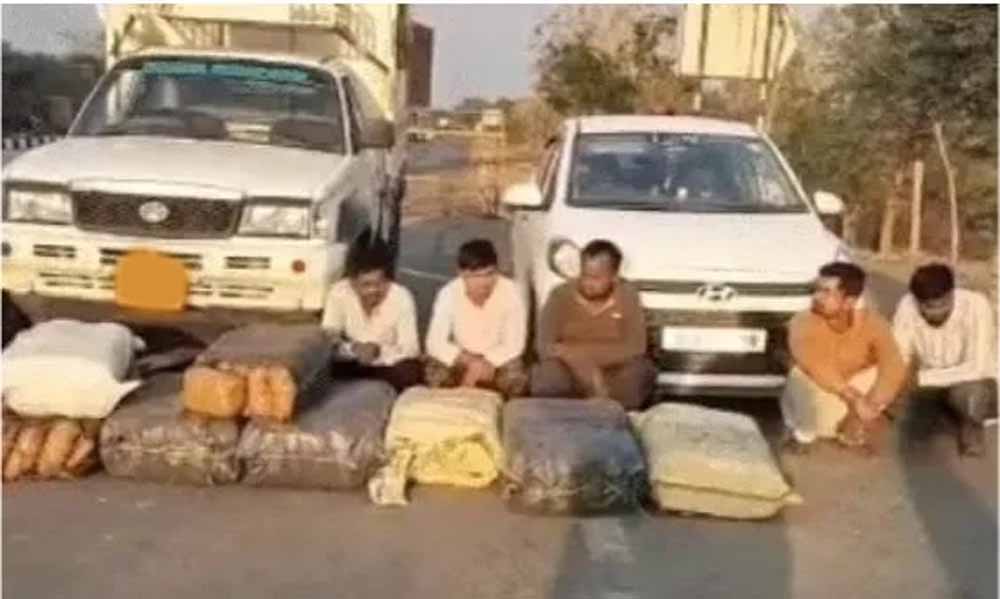 पुलिस की बड़ी कार्रवाई: महासमुंद में करोड़ों का गांजा जब्त, पांच आरोपी धराए