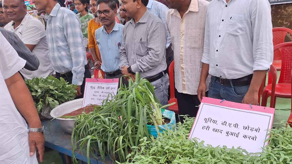 हरी खाद से बदल रही खेती की तस्वीर: कम लागत, बेहतर मुनाफा और स्वस्थ मिट्टी’