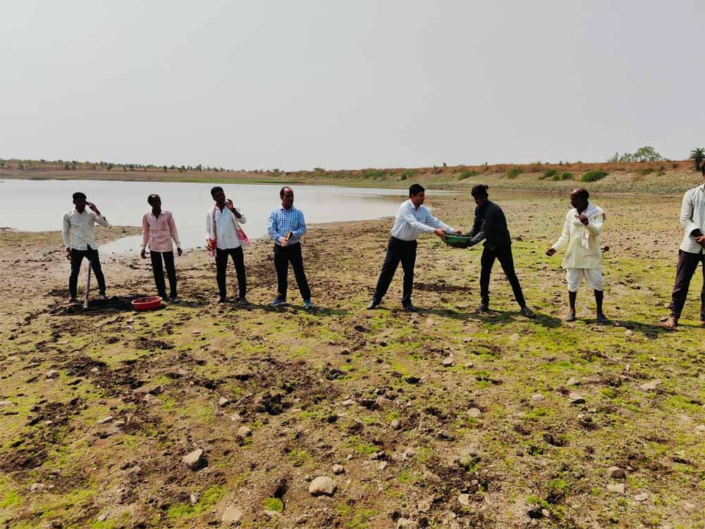 पानी बचाने की मुहिम बनी जन-आंदोलन, मध्यप्रदेश में दिखा असर