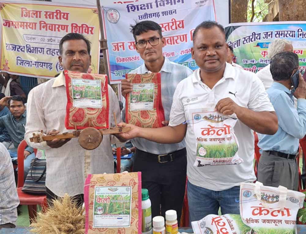 लैलूंगा में जंवाफूल की खेती 700 एकड़ से बढ़ाकर 2000 एकड़ तक करने का लक्ष्य