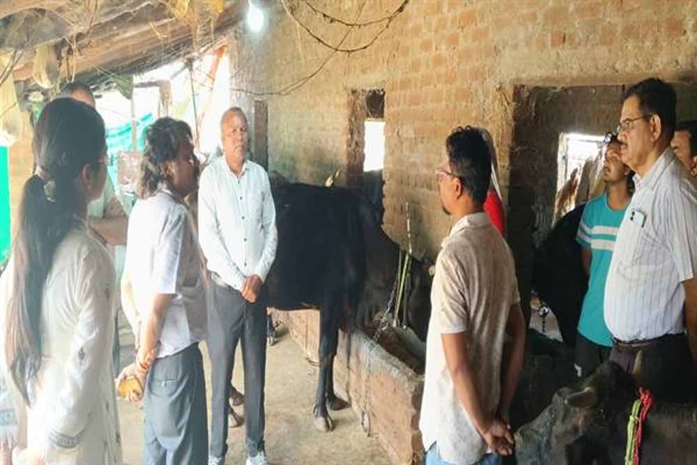 पशु चिकित्सा, एवं पशुपालन महाविद्यालय सभागार जबलपुर में पशु चिकित्सकों के साथ की बैठक, दिए आवश्यक दिशा निर्देश