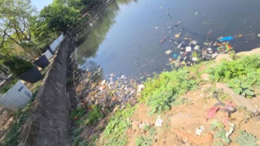 पर्यावरण पर खतरे की घंटी, भोपाल के छोटे तालाब मामले में NGT की दखल