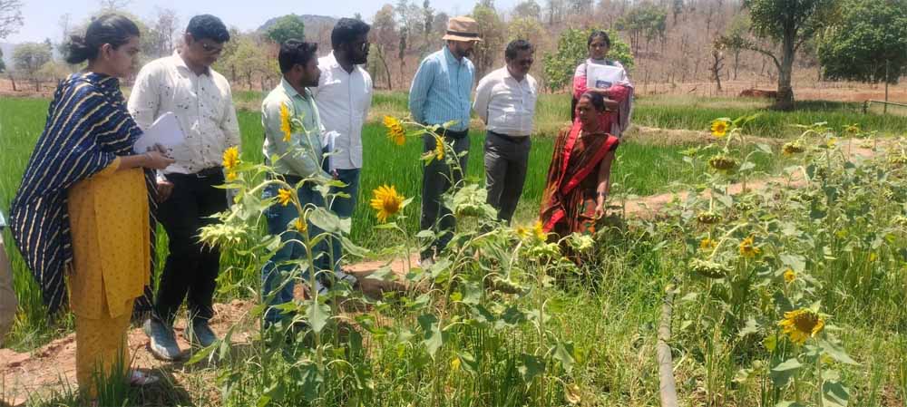 दीदी के बखरी से बदल रही तस्वीर : कांकेर में महिला किसानों की आय में क्रान्तिकारी