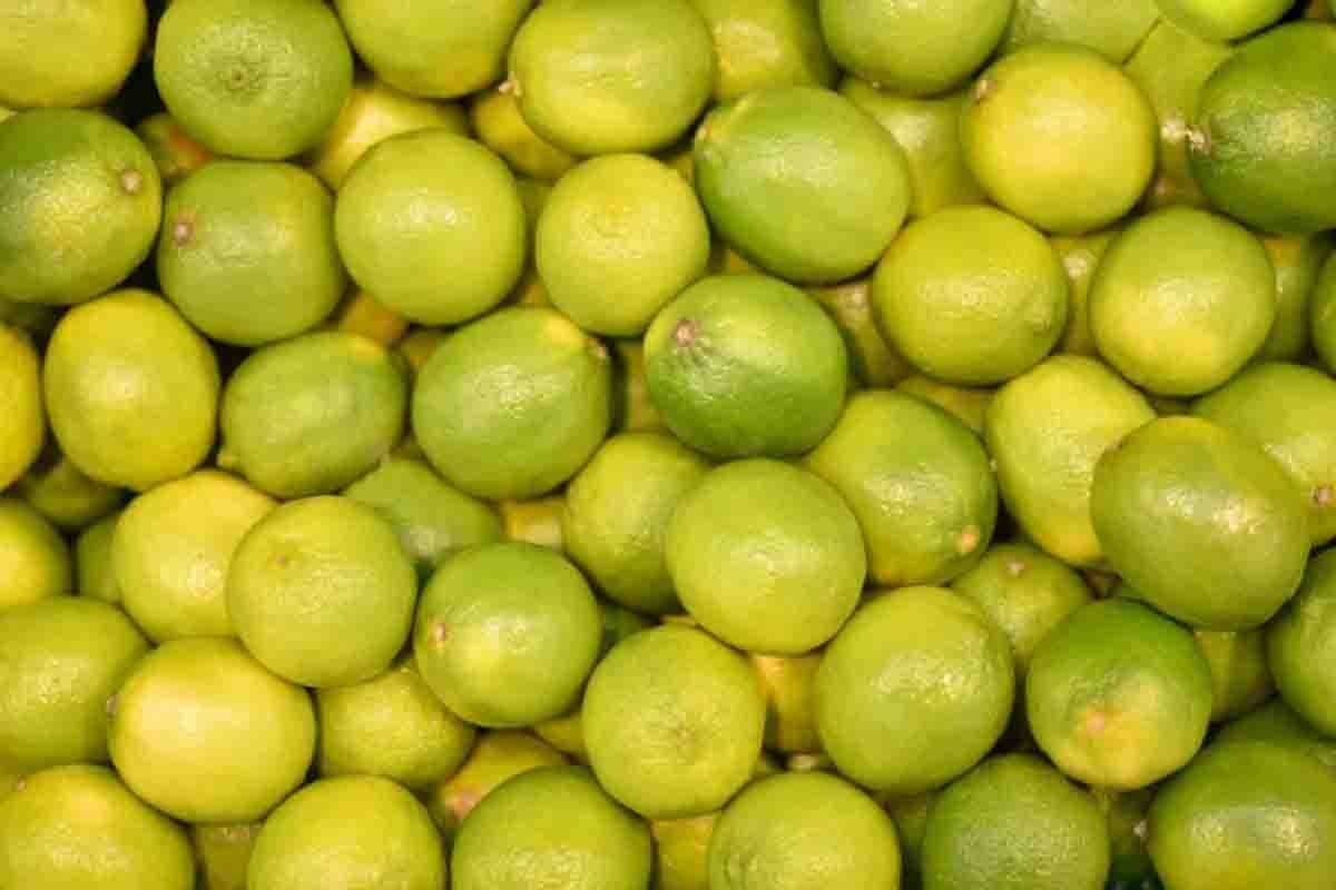 सब्जियों के दाम में उतार-चढ़ाव, मुहाना थोक मंडी में नींबू 115 रुपये और देसी टमाटर 6 रुपये प्रति किलो