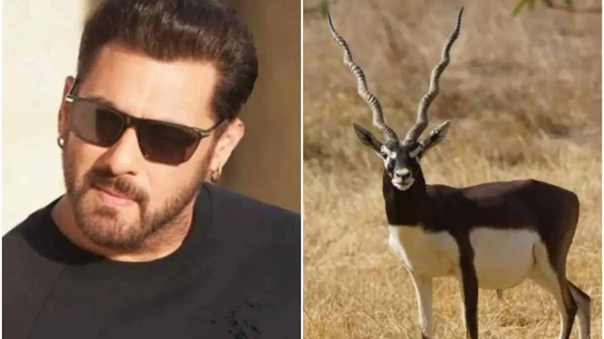 काला हिरण केस में राहत नहीं: हाईकोर्ट ने बहस के लिए दिया समय, अगली सुनवाई 13 जुलाई को