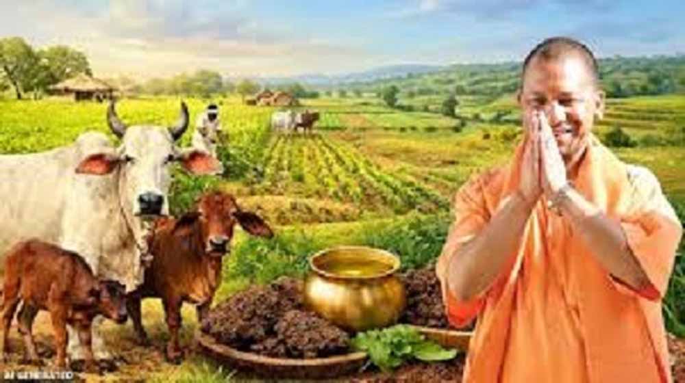 UP में ‘गोवंश आधारित अर्थव्यवस्था’ को बढ़ावा, गोशालाएं बनेंगी आत्मनिर्भर बिजनेस हब