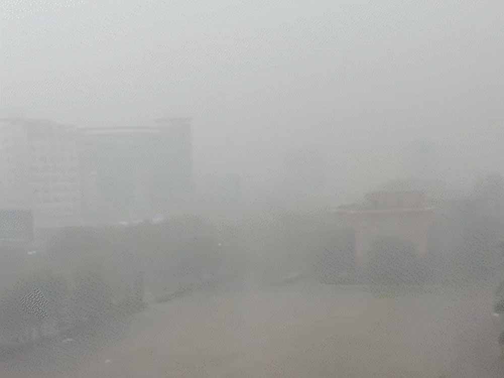 तेज हवाओं और बारिश का डबल अटैक, आम की फसल को भारी नुकसान
