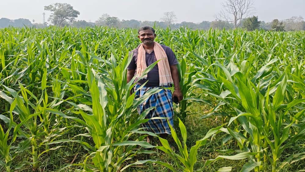 खेती से लिखी समृद्धि की नई कहानी, गोपाल एर्रागोला बने नक्सल प्रभावित इलाके के प्रेरणास्रोत