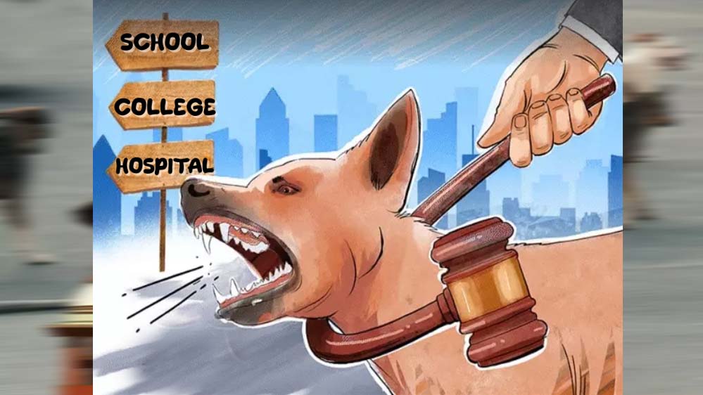 स्कूल और अस्पतालों के पास नहीं दिखेंगे आवारा कुत्ते? सुप्रीम कोर्ट ने पुराने आदेश को बरकरार रखा