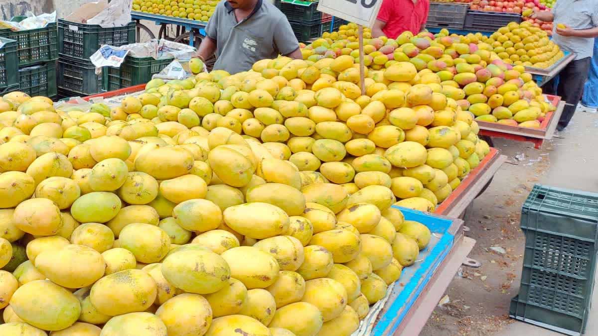40-50% फसल ही बची, अब बैगिंग से आम को बनाया जाएगा एक्सपोर्ट क्वालिटी