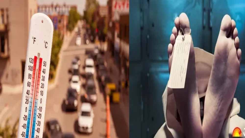 Heat Stroke Alert: तेज गर्मी से खतरा बढ़ा, डॉक्टरों ने बताए लक्षण और बचाव के तरीके