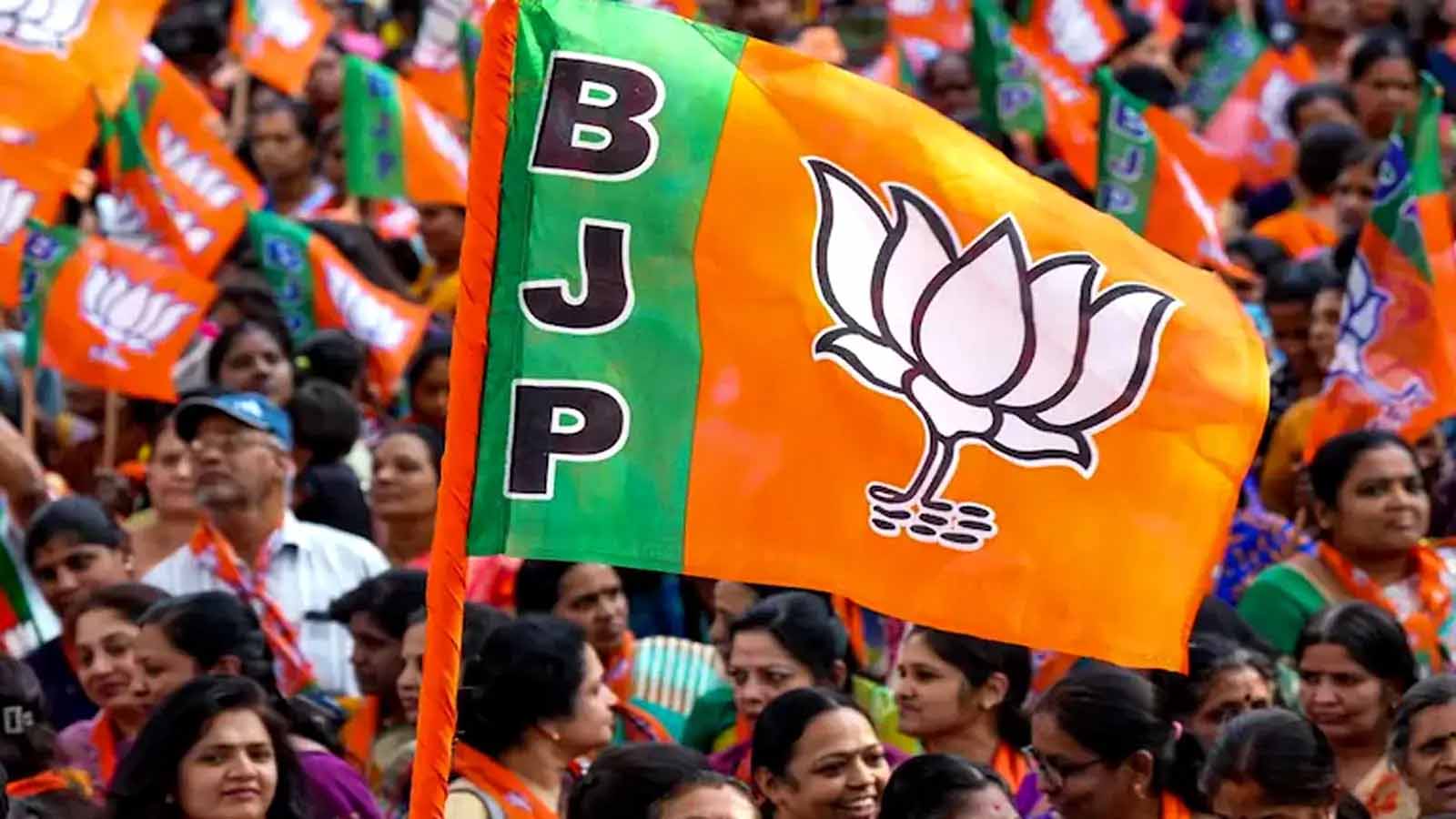 निकाय-पंचायत चुनाव से पहले भाजपा युवा मोर्चा का विस्तार: नई टीम को मिली अहम जिम्मेदारियां