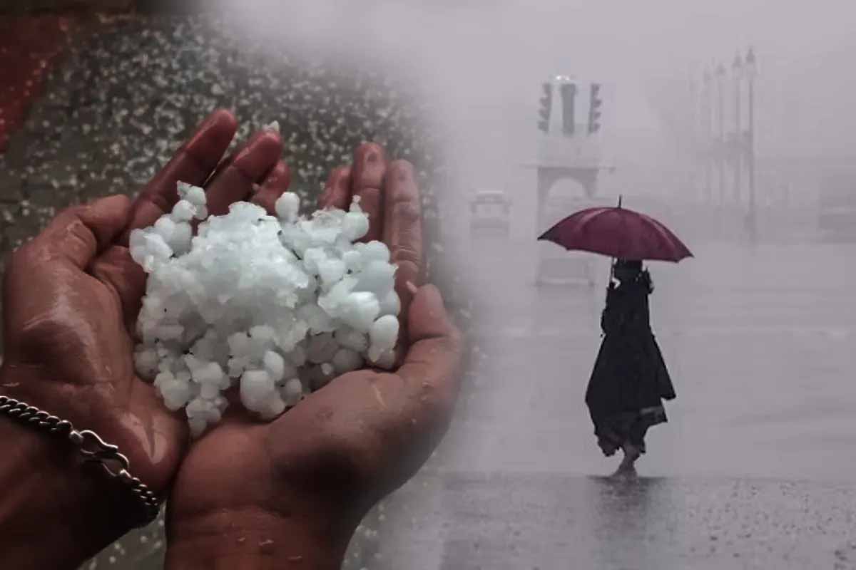 एमपी में तूफान और बारिश का डबल अटैक, कई जगह पेड़ गिरे और बिजली व्यवस्था बाधित