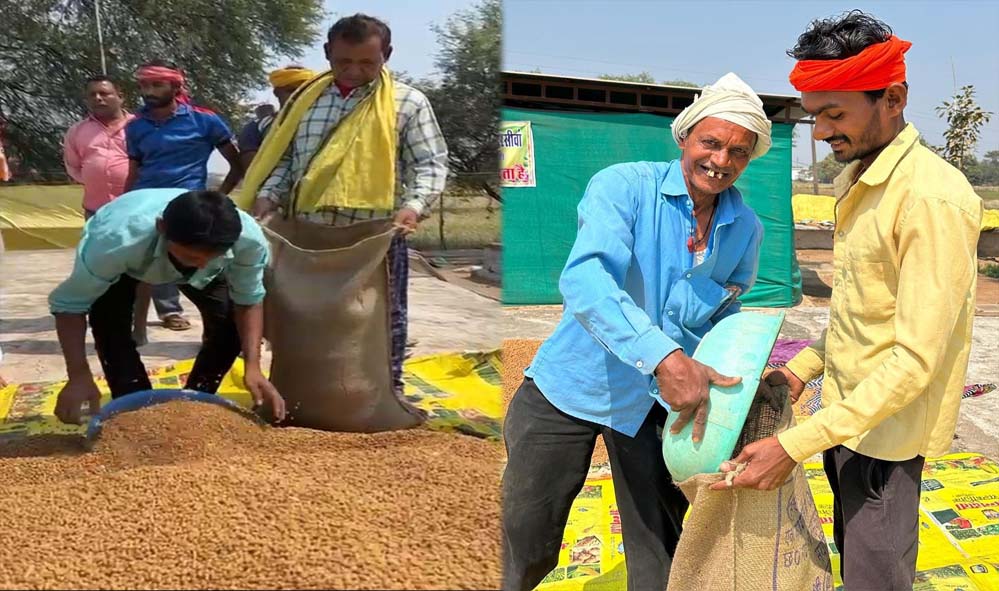 विश्व की सबसे बड़ी अनाज भंडारण योजना में धमतरी का कमाल, प्रदेश के आधे चने की अकेली खरीद