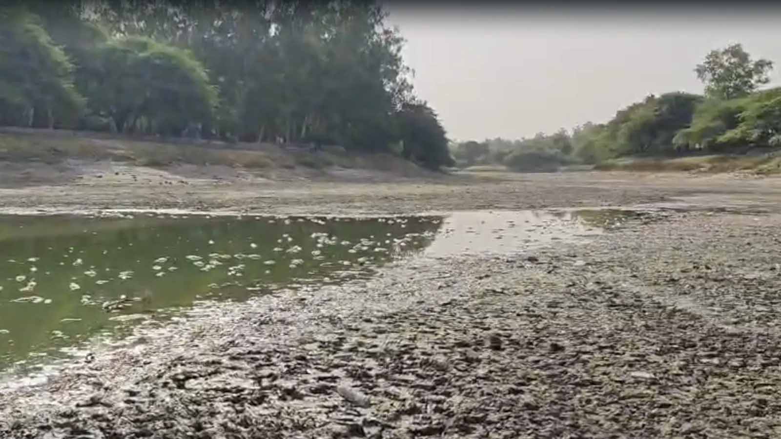 डीजेबी की सप्लाई बाधित होने से संजय झील में संकट, पर्यावरणीय नुकसान पर उठे सवाल