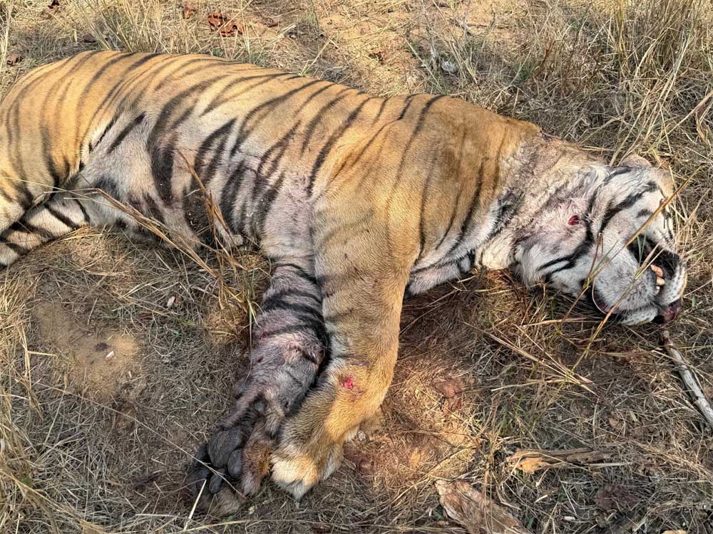 जांच के लिए एडवांस लैब्स में भेजे गए नमूने