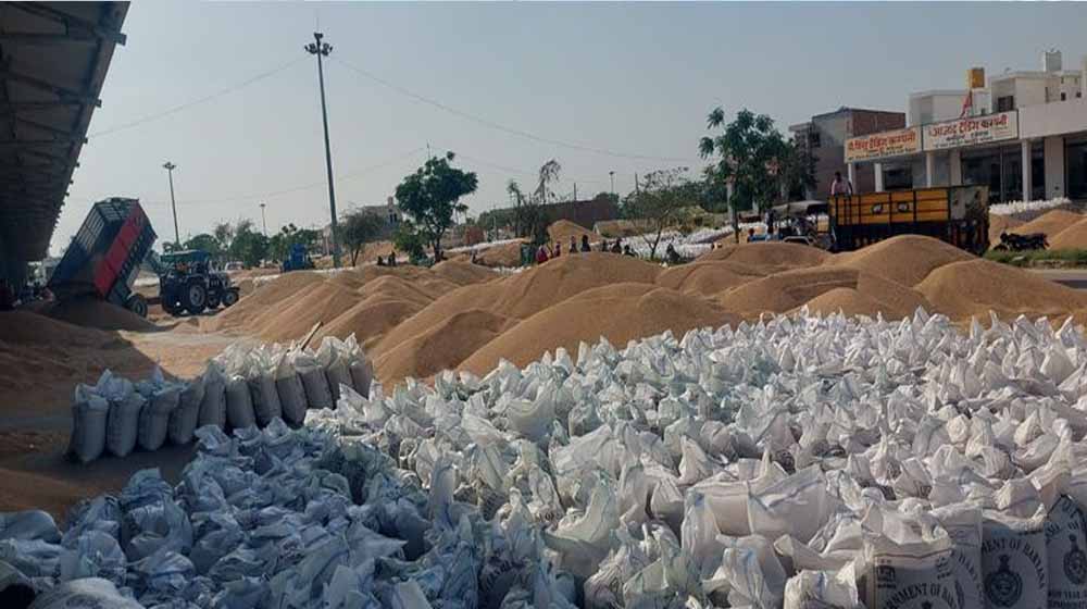 धान खरीद ने पकड़ी रफ्तार, मंडी में इस बार टूटा पिछले साल का रिकॉर्ड