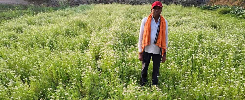 धनिया की खेती से मालामाल हुए किसान रतिराम, महासमुंद में बागवानी मिशन का दिखा असर