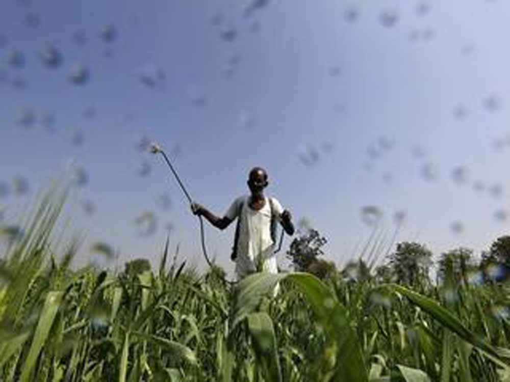 प्रभावी क्रियान्वयन के लिये कैबिनेट ने स्वीकृत किये 11608.47 करोड़