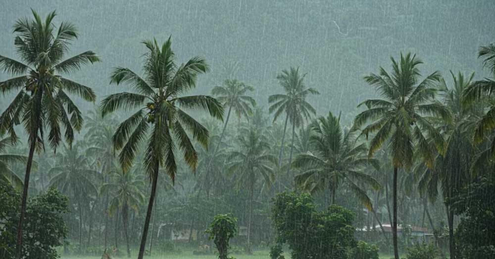 अरब सागर की परिस्थितियों ने बिगाड़ा मॉनसून का गणित, IMD का बड़ा अपडेट
