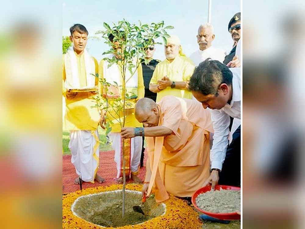 मां के नाम पेड़, यूपी बना रिकॉर्ड होल्डर—दुनिया में गूंजा हरित संदेश