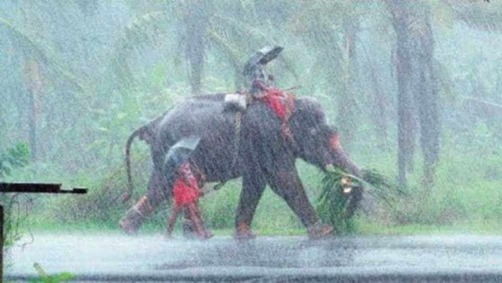 गर्मी से राहत का इंतजार खत्म, मानसून पहुंचा भारत; जानें यूपी-बिहार में कब बरसेंगे बादल
