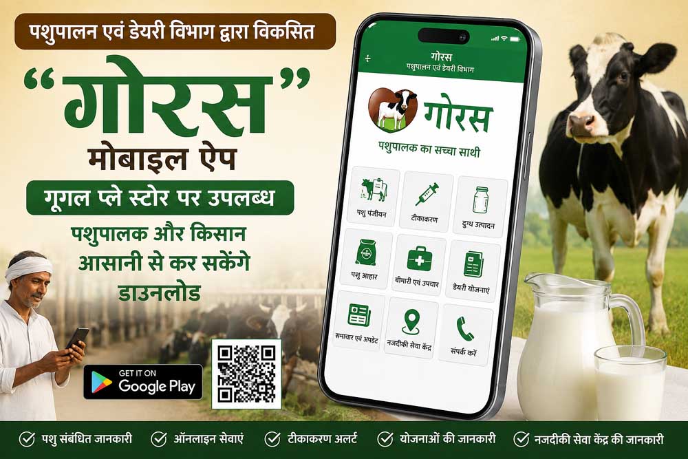 अब पशुपालकों को मोबाइल पर ही मिलेगी पशुओं को संतुलित आहार खिलाने की जानकारी